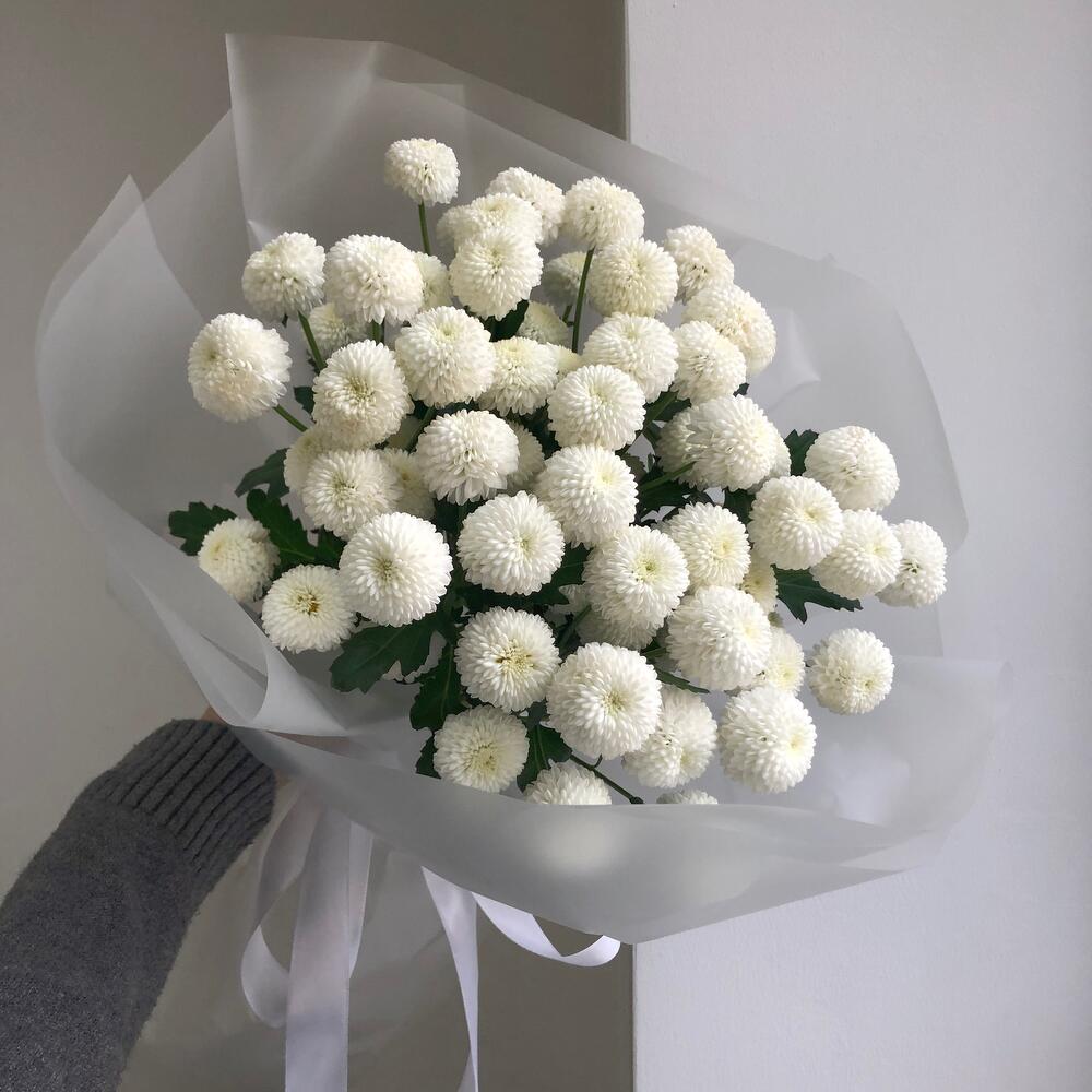 Белые кустовые Хризантемы N 312 + подарок от Vivienne Sabo — румяна MACARON