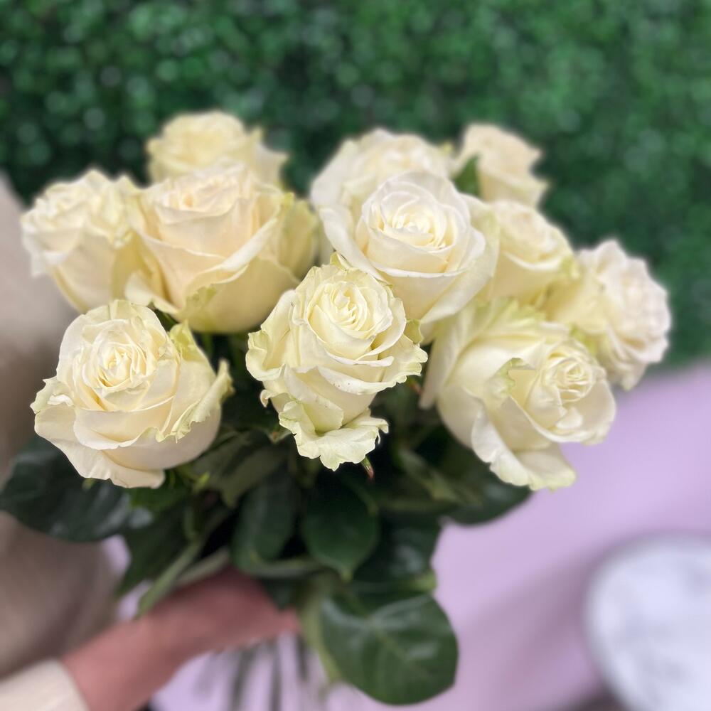 Розы Эквадор