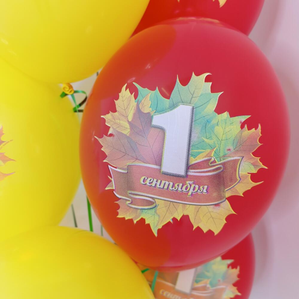 Шары на 1 сентября "Лист клена", 10 шаров