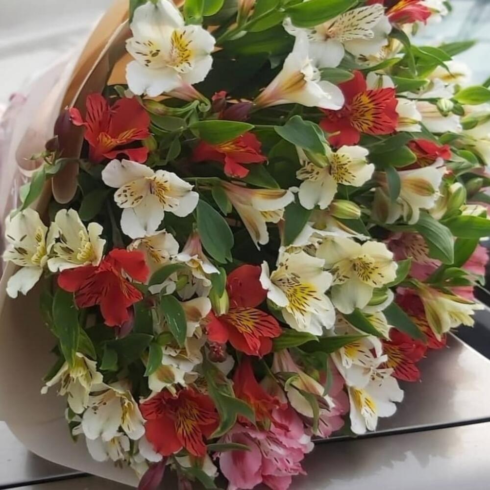 Букет из 51 Альстромерии