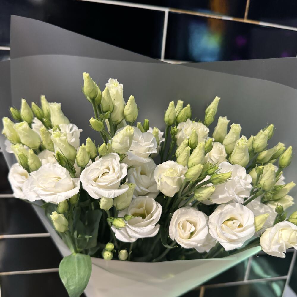 Eustoma