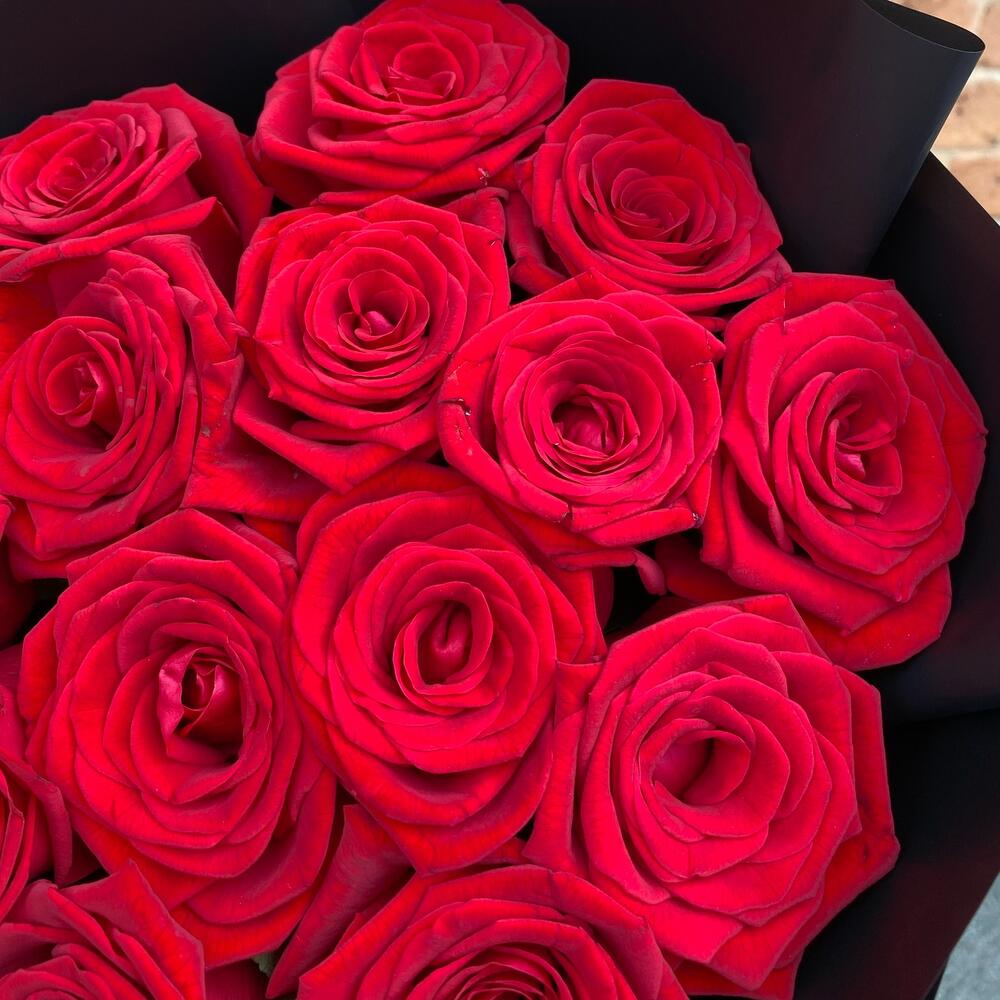 Red Rose Small (Эквадор 60см)