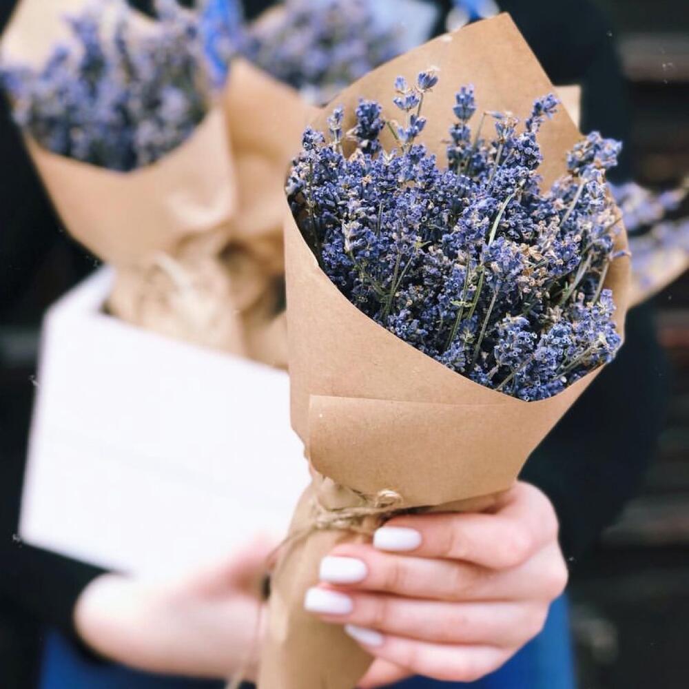 Лаванда Цветы Купить В Спб