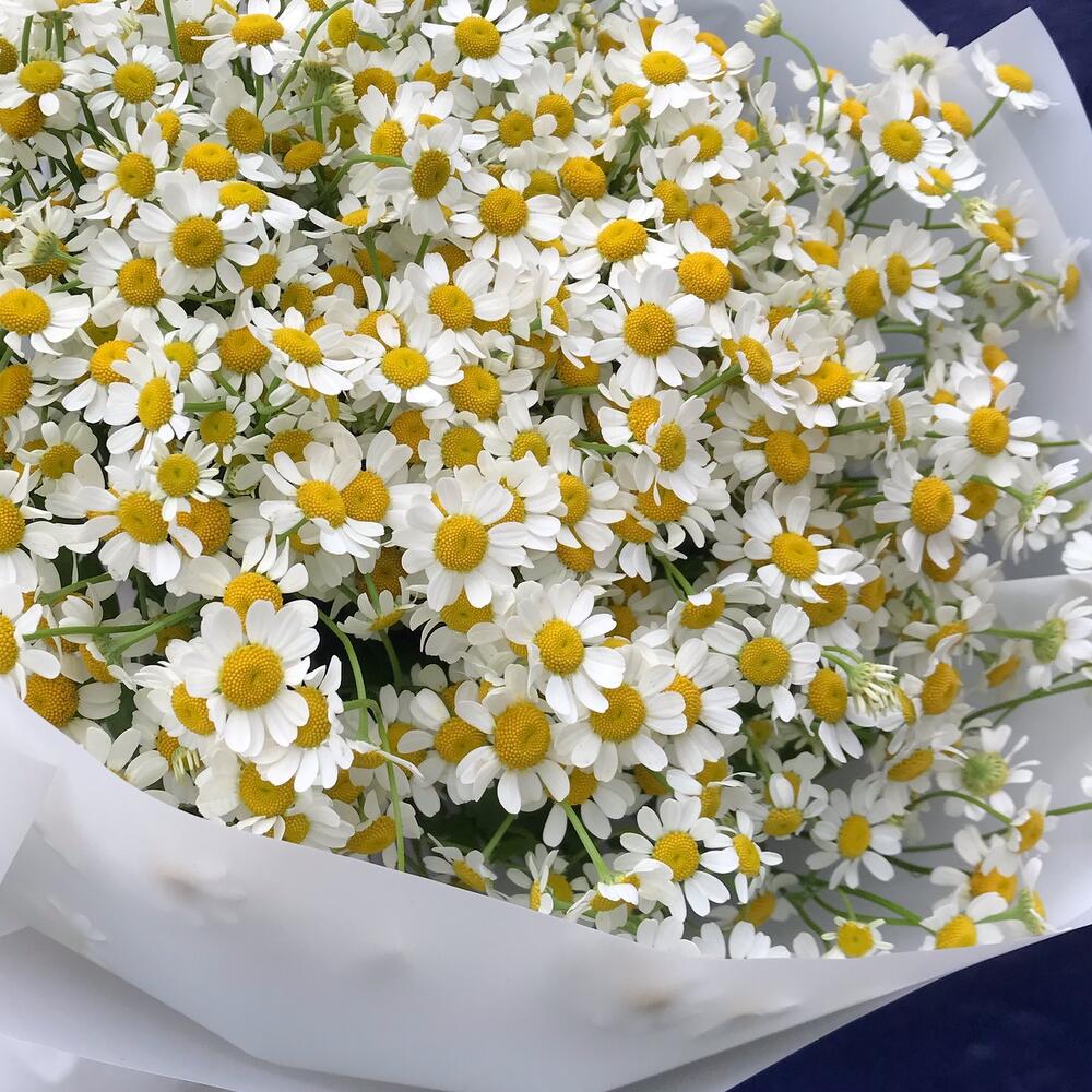 Ромашки 15 шт