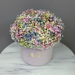 Viki Flowers Gubkinsky