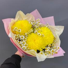 Sofi flower