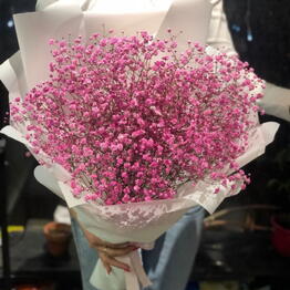 DREAM_FLOWERS_64
