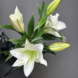 GiveFlowers