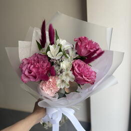 АНИС