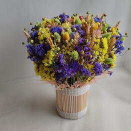 NEW_FLORISTICS