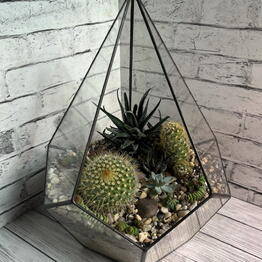 EDEM botanical studio