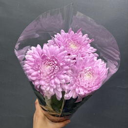 ML_flowers
