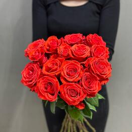 D&O ROSES