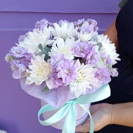 Iris Blumen na Duki