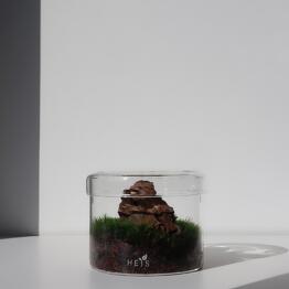 Heis plant