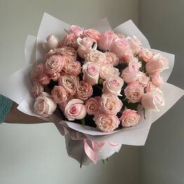 Floristica