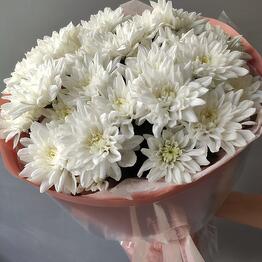 Цветы в городе М