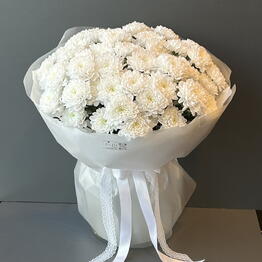 Flowers titan