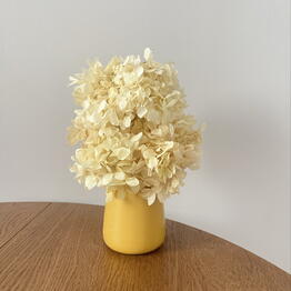 Florist Drozdova Anna