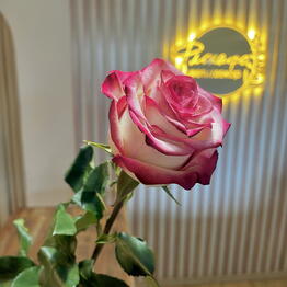 Флокафе Лабинск 