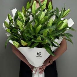ArtFlora