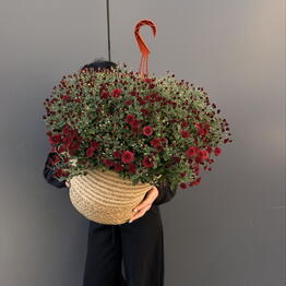 Romantic
