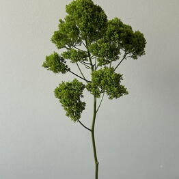 STEMSBOT