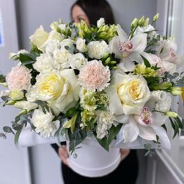 🌸Floraliya 🌸