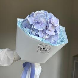 Miss Blooms