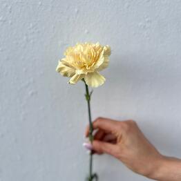Flowers & Gifts