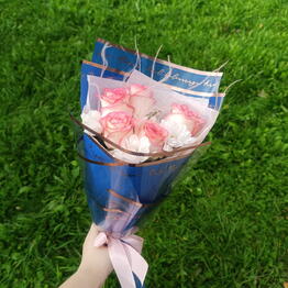 Dianthus 