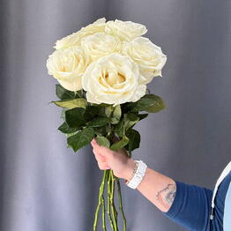 Blum cvety