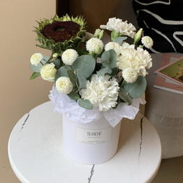 Blanche flowers на Композиторов