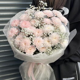 Flowers titan