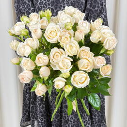 Flora Decor
