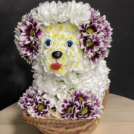 Цветы мира РИЖСКАЯ