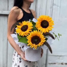 Flowers Time
