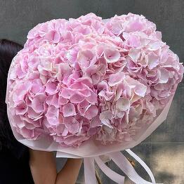 Flowers Mania