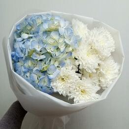 Flowers_malysheva