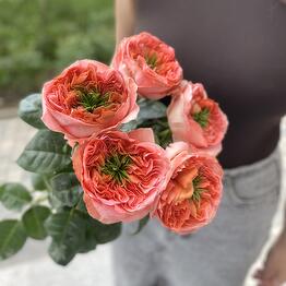 КИМИКО Цветы