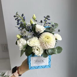 Pion Art And Flowers