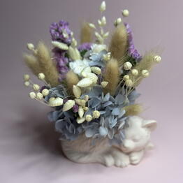 Lavanda