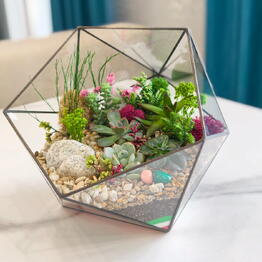 FLODECOR