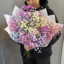 Bloom flower