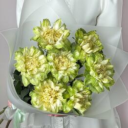 RasCvet flowers