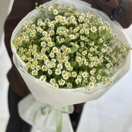 KATALEYA FLOWERS