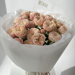 Primum Flos