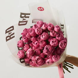 Rozen Dozen