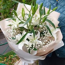 Мёд и клевер