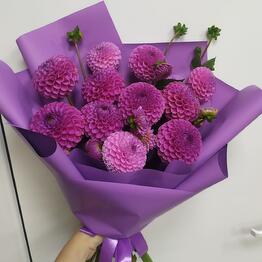 Iris Blumen na Duki